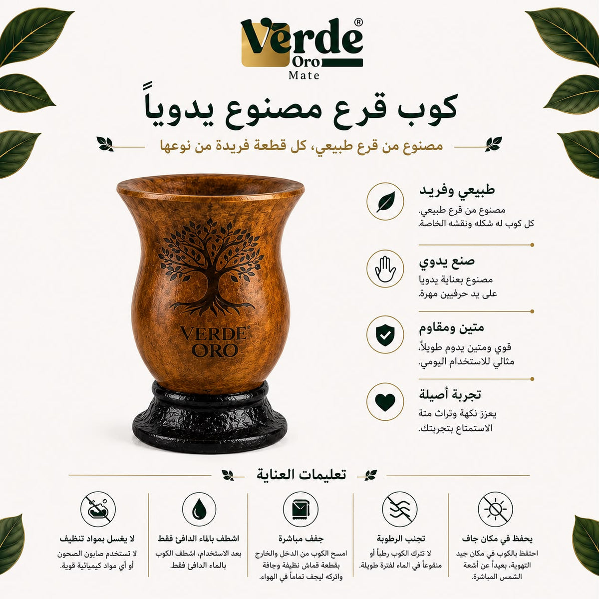 كوب قرع الذهب الأخضر